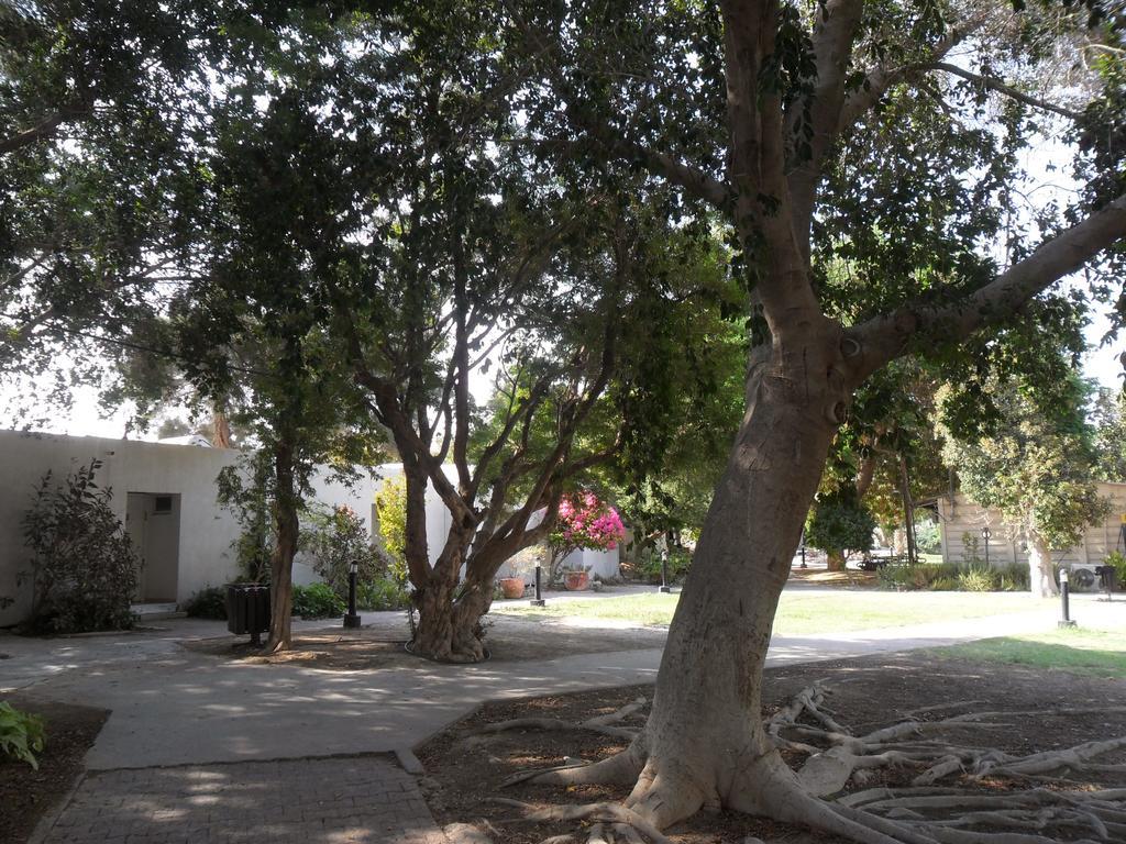 Almog Kibbutz Hotel Dış mekan fotoğraf