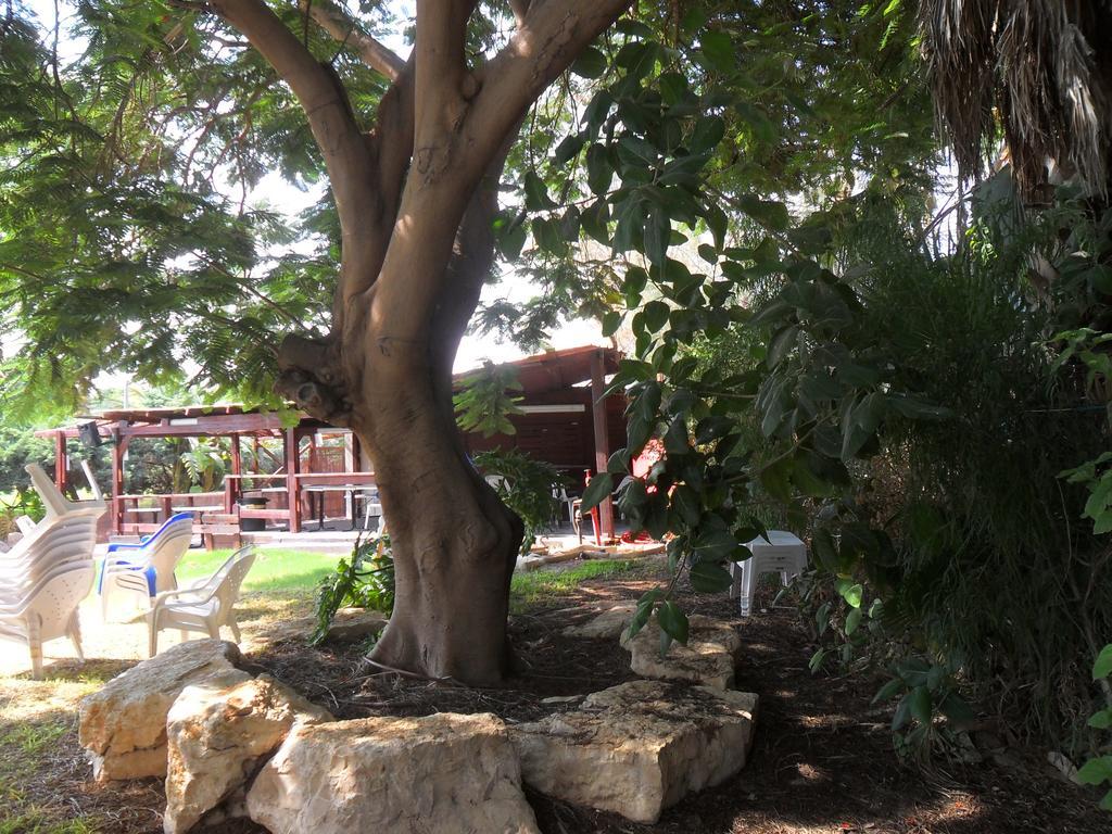 Almog Kibbutz Hotel Dış mekan fotoğraf